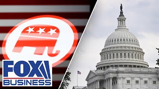 CRITICAL RESOURCES LIMITED &#39;LAST BASTION OF HOPE&#39;: Donor reveals why it&#39;s critical that GOP must retake Senate