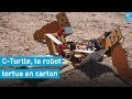 C-Turtle, le robot tortue en carton qui doit un jour explorer Mars