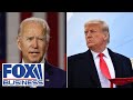The ‘chasm’ between Biden and Trump couldn’t be wider: Joe Gamaldi