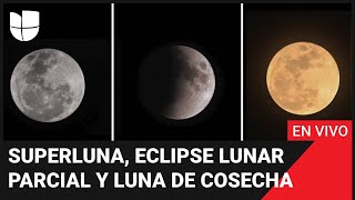 EN VIVO |  Superluna, eclipse y luna de cosecha: sigue el raro espectáculo celeste