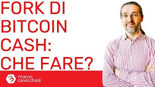 BITCOIN CASH Domani il fork di Bitcoin Cash: che fare?