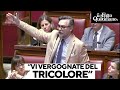 Ricciardi (M5s) attacca: "Calderoli si vergogna del Tricolore". E a Meloni: "Glielo dia lei"