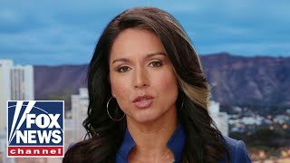 BELIEVE Tulsi Gabbard: They think Americans are stupid enough to believe the lies