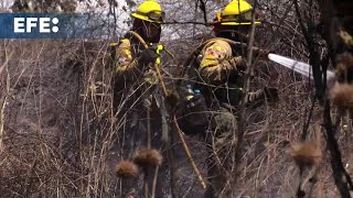 Suramérica enfrenta una de las peores olas de incendios en los últimos años