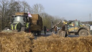 WHEAT Francia, crisi climatica: per gli agricoltori uno dei peggiori raccolti di grano degli ultimi anni