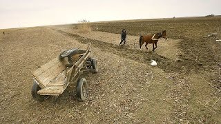 Romania: allarme per ondate di calore, laghi prosciugati e colture distrutte