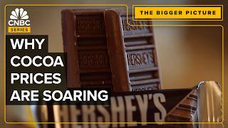 KEY How The Price Of Chocolate&#39;s Key Ingredient Surged More Than 300% In 2024