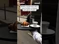 Paris waiters race through the streets