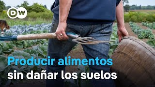 ¿Qué pueden hacer los agricultores para asegurar sus cosechas sin dañar los ecosistemas?