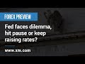 Forex Preview: 20/03/2023 - Fed faces dilemma, hit pause or keep raising rates?