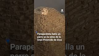 Hallan a un perro en la cima de la Gran Pirámide de Giza