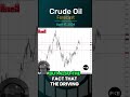 Crude Oil Forecast and Technical Analysis April 17, 2024 by Chris Lewis  #crudeoil #WTIoil #brentoil