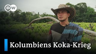 Land, Macht, Geld – Der brutale Kampf im größten Koka-Anbaugebiet Kolumbiens | DW Reporter
