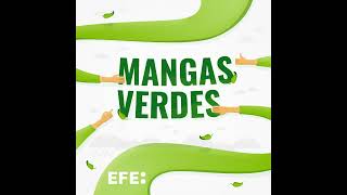 Mangas Verdes |Residuos y Congreso Forestal Español