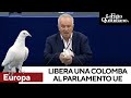 Eurodeputato libera colomba nel Parlamento Ue come “messaggio di pace”. Imbarazzo in Aula