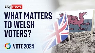 General Election: What matters to Welsh voters?