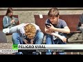 HELLO GROUP INC.  ADS - Momo, juego viral de WhatsApp que puede entrañar un peligro mortal