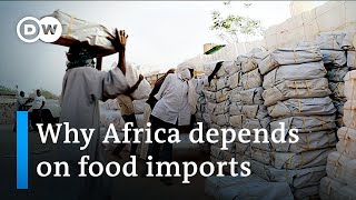 Africa faces a looming food crisis as Ukraine War drags on | DW News
