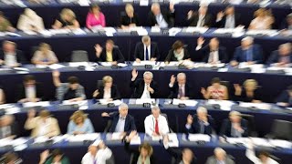 How much money has the European Parliament allocated to its political groups?