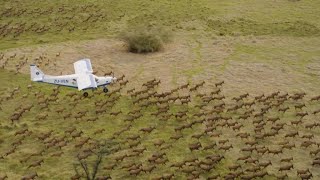 Soudan du Sud : un ambitieux projet de protection de la faune • FRANCE 24