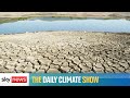 The Daily Climate Show: UN warns of more damage to the planet