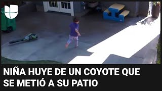 S&U PLC [CBOE] El momento en que una niña es perseguida por un coyote mientras jugaba en el patio de su casa