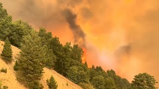 Waldbrand in Los Angeles: Evakuierung wird ausgeweitet