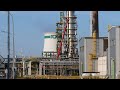 La Germania prende il controllo delle raffinerie di petrolio russe Rosneft