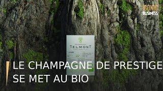 Le champagne de prestige se met au bio