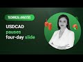 Technical Analysis: 29/03/2024 - USDCAD pauses four-day slide