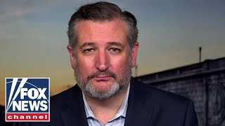Ted Cruz: Biden thinks the voters are stupid