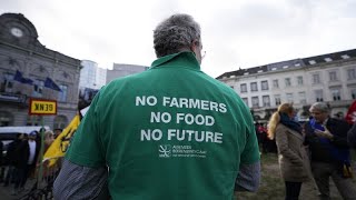 Umfrage: Europäer fürchten, dass die Landwirtschaft &quot;den Bach runtergeht&quot;