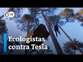 TESLA INC. - Alemania: activistas contra Tesla para salvar un bosque