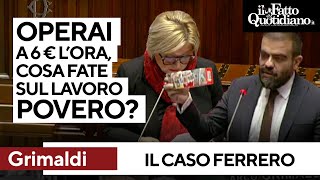 Manodopera a basso costo, Grimaldi: &quot;Cosa fa il Governo sul lavoro povero?&quot;