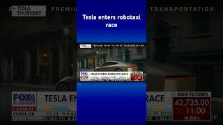 TESLA INC. Tesla stock down after Musk unveils its new robotaxi #shorts