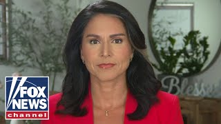 Tulsi Gabbard: &#39;This is a very serious wake-up call&#39;