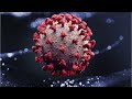 Coronavirus Spiking In U.S. Again