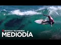 Video del día: Una ola "mágica" y varios delfines acompañan a una surfista a ganar un campeonato