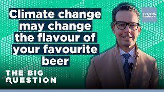 CARLSBERG Will climate change alter the flavour of your beer? | Carlsberg CEO | The Big Question FULL EPISODE