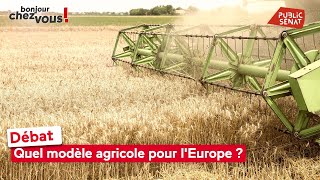 Débat : quel modèle agricole pour l&#39;Europe