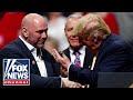 What fostered the friendship between Dana White and Donald Trump?