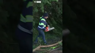 Fallen trees block roads in Galway