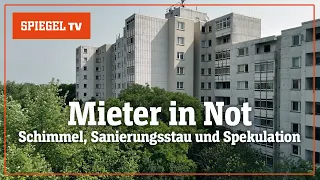 Mieter in Not: Schimmel, Sanierungsstau und Spekulation | SPIEGEL TV