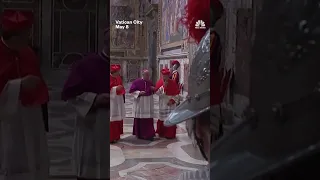 Cardinals and Vatican clerks congratulate Pope Leo XIV
