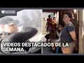 Violento arresto de ICE y el drama de familia que se 'autodeportó': videos destacados de la semana