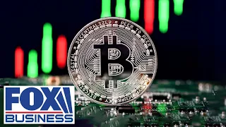 BITCOIN ‘BITCOIN IS THE KING’: CEO breaks down future of crypto in USA