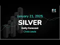 XAG/USD Price Forecast Today, Technical Analysis (January 21): Silver Shows a lot of Volatility