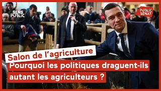 Salon de l&#39;agriculture : pourquoi les politiques draguent-ils autant les agriculteurs ?