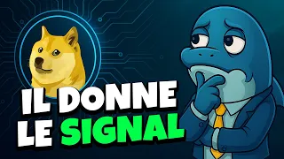 🚨 CETTE ALTCOIN PREDIT LE BULL RUN 💥 T&#39;as vraiment peur là ?