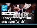 EURO DISNEY - "Wish", le dessin animé pour fêter les 100 ans de Disney • FRANCE 24